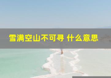 雪满空山不可寻 什么意思